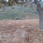 Mudanya Eşkel köye yakın satılık arsa