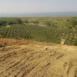 Mudanya Ayazma köyü satılık tarla