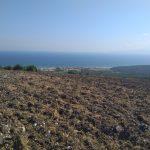 Bursa Mudanya Mesudiye satılık tarla