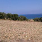 Bursa Mudanya Yalıçiftlik deniz manzaralı tarla