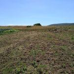 Bursa Mudanya Eşkel Esence satılık tarla