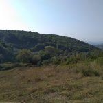 Bursa Mudanya köylerinde satılık tarla