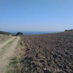 Bursa Mudanya Mesudiye köyü satılık tarla