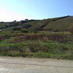 Mudanya Mesudiye Ayazma yola cephe tarla