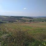 Mudanya Çayönü Teknosab yakını satılık tarla