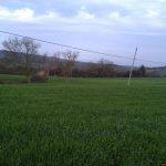 Bursa Mudanya Eğerce satılık tarla