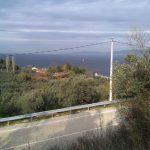 Kumyaka deniz manzaralı yol kenarı zeytinlik