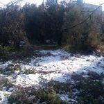 satılık zeytinlik Bursa Mudanya Eşkel Esence