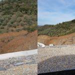 Bursa Mudanya manzaralı kelepir zeytinlik