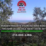 Satılık zeytinlik Mudanya Mesudiye Ayazma