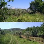 Mudanya Mesudiye uygun fiyata satılık parsel