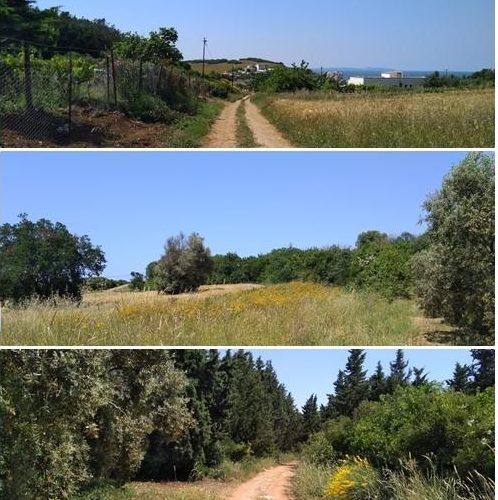 Bursa Mudanya denize yakın yola cephe arsa