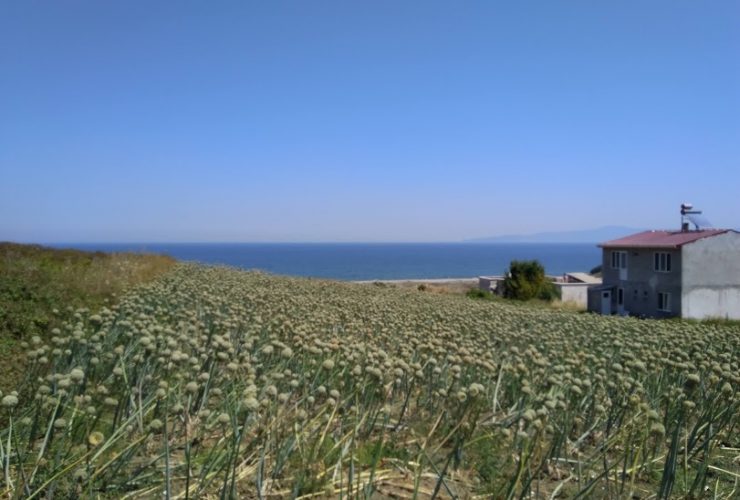 Mudanya acil satılık deniz manzaralı arsa