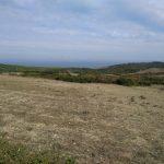 Deniz manzaralı satılık tarla