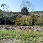 Mudanya Eşkel bahçe