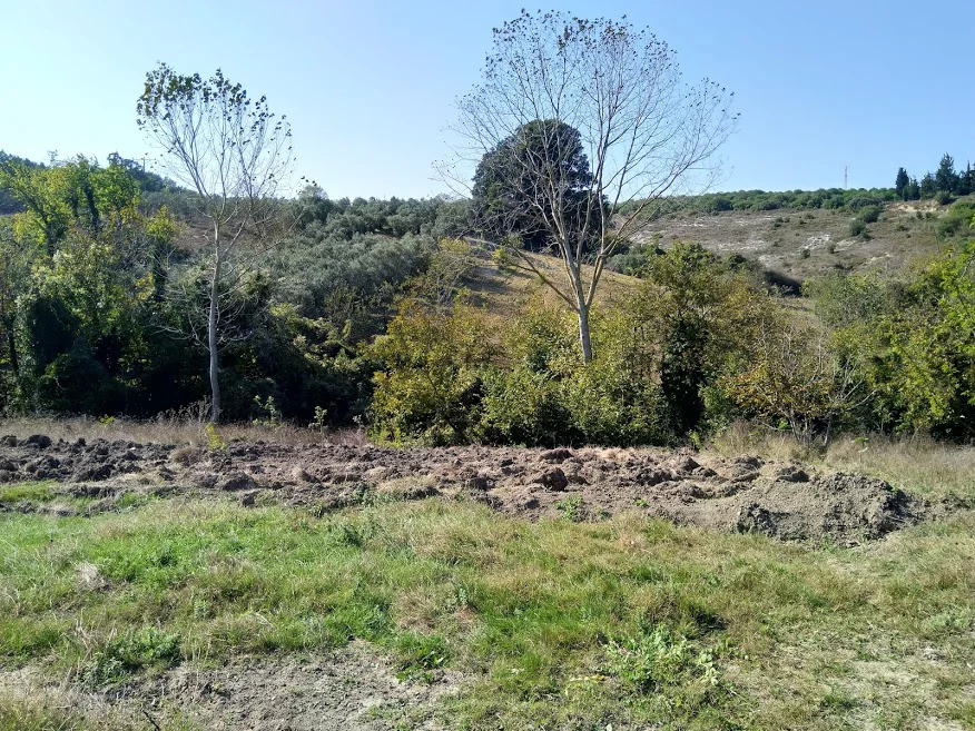 Mudanya Eşkel bahçe