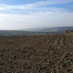 Bursa Mudanya Mesudiye köyü satılık tarla