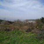 Mudanya Eşkel deniz manzaralı satılık zeytinlik