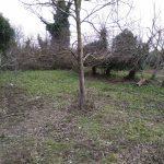 Bursa Mudanya Eşkel yola cephe satılık bahçe