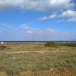 Mudanya Eğerce denize yakın manzaralı tarla