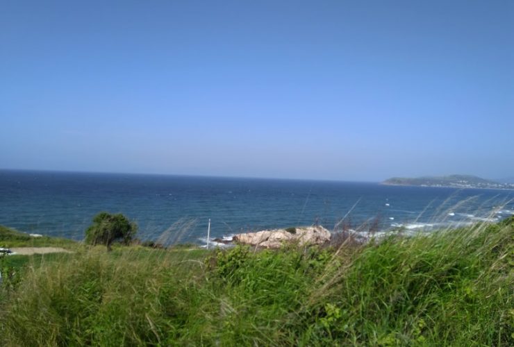 Bursa Eğerce deniz manzaralı satılık tarla