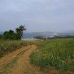 Satılık arazi tarla Bursa Mudanya Eğerce