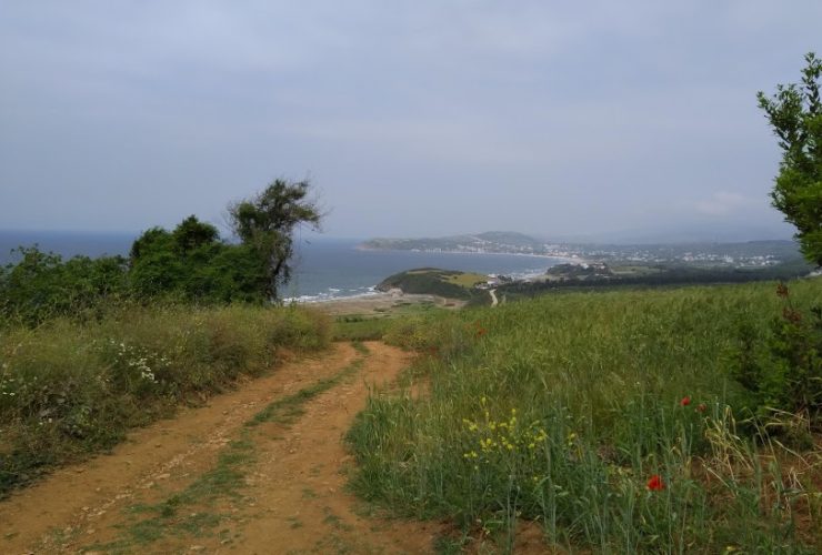 Satılık arazi tarla Bursa Mudanya Eğerce
