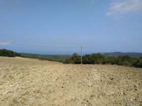 Bursa Eğerce deniz manzaralı yatırımlık tarla