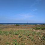 Bursa Eşkel Esence denize sıfır arsa tarla