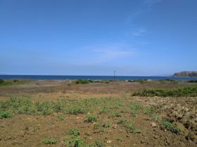 Bursa Eşkel Esence denize sıfır arsa tarla