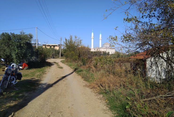 Bursa Mudanya satılık arsa arazi zeytinlik