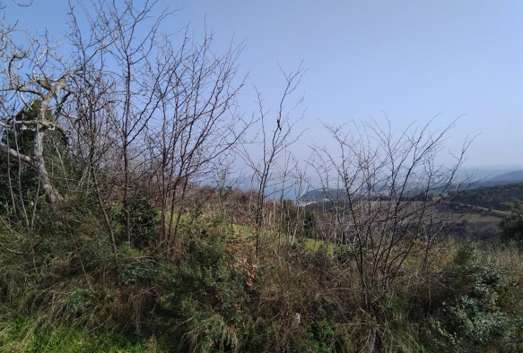 Mudanya Eğerce deniz manzaralı dönüm arazi