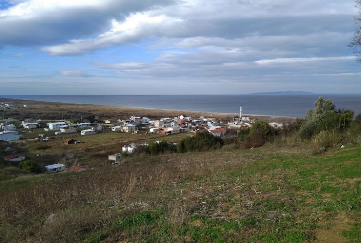 deniz manzaralı tarla