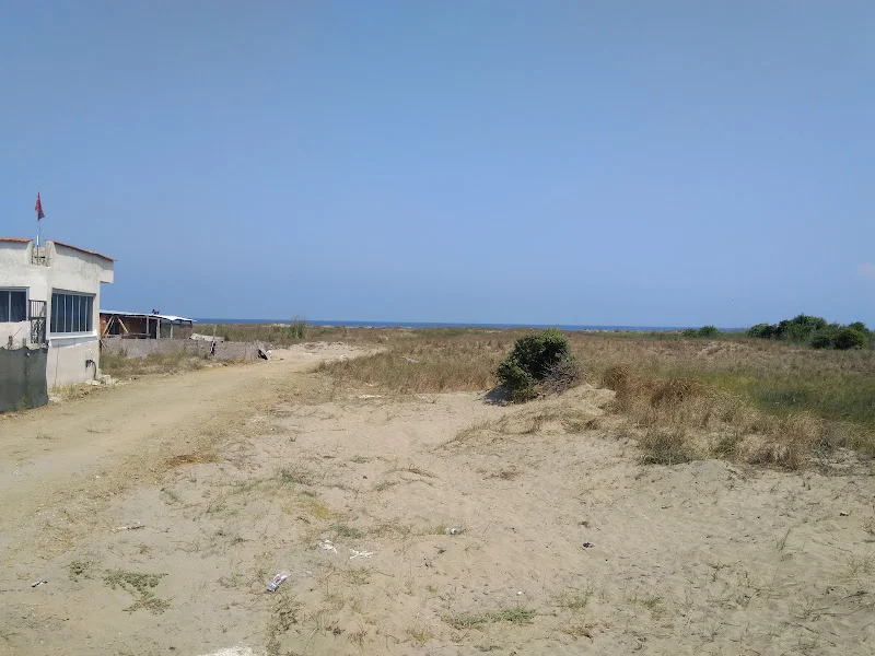 Bursa satılık arazi