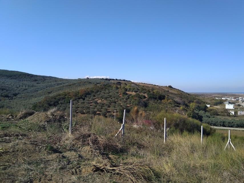 Deniz manzaralı satılık tarla arayanlar Bursa Mudanya arazi fırsatı sizi bekliyor.