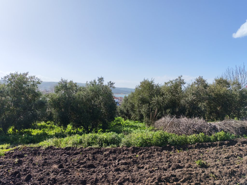 eşkel 650 m2 satılık arsa