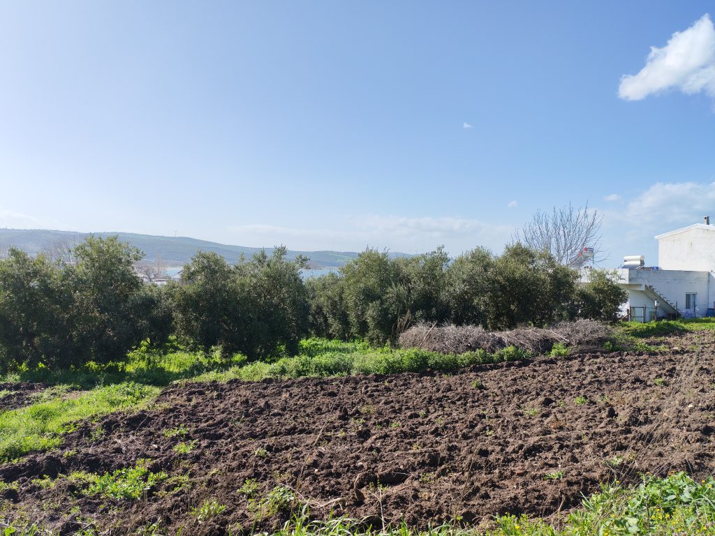 eşkel 1000 lik imar planı arsa
