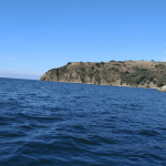 Tirilye Arsa Fırsatları